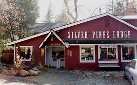 Silver Pines Lodge